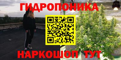 прущие крисы Кунгур