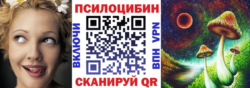 где продают   Камышлов  Псилоцибиновые грибы Magic Shrooms 