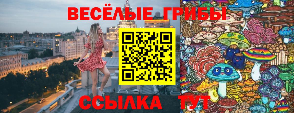 Галлюциногенные грибы Cubensis  Вход с VPN  Камышлов  Псилоцибиновые грибы мицелий 
