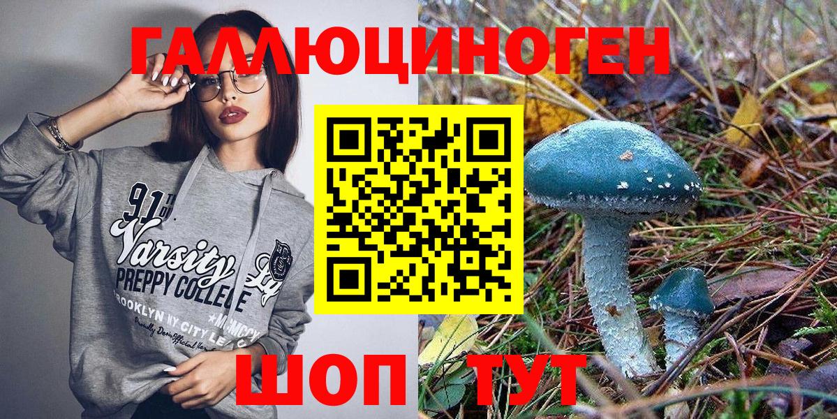 Псилоцибиновые грибы Psilocybine cubensis Камышлов